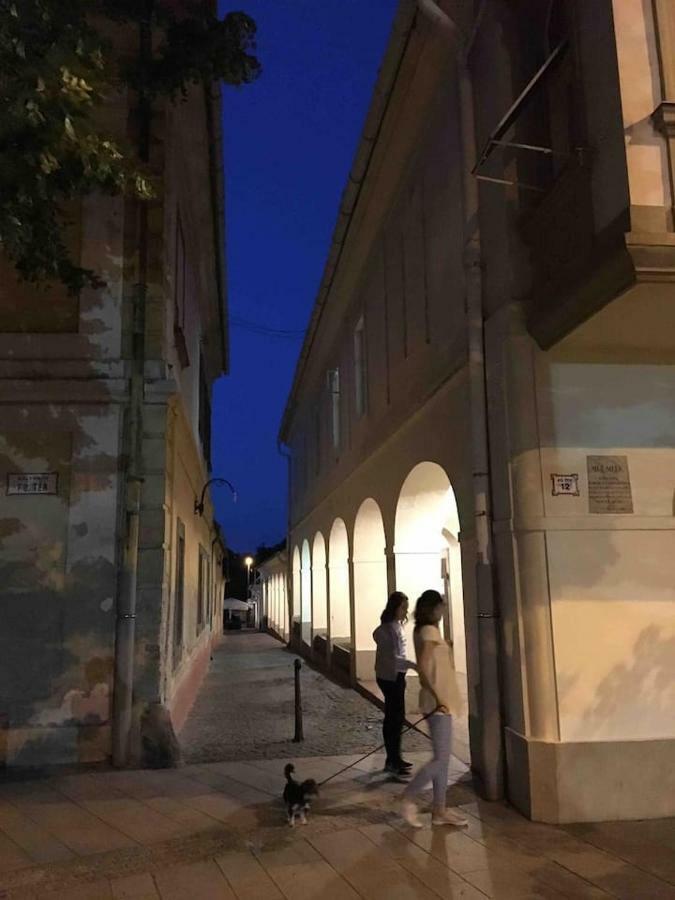 Ház Saját Udvarral A Történelmi Belvárosban Apartamento Pápa